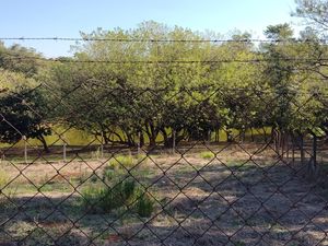 Image 17 - 924387