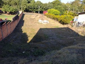 Image 11 - 924387