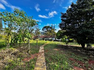 Image 83 - 924429