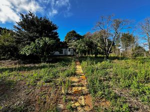 Image 81 - 924429
