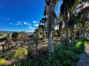 Image 96 - 924429