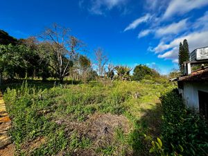 Image 78 - 924429