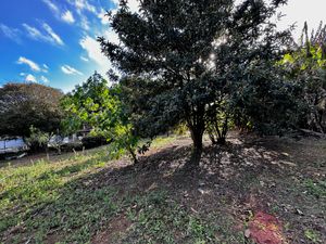Image 82 - 924429