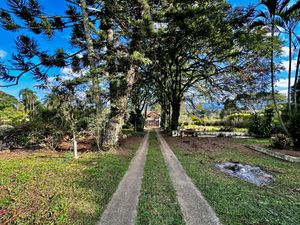 Image 55 - 924429