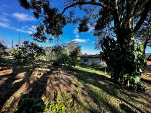 Image 88 - 924429
