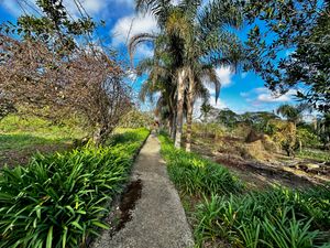 Image 65 - 924429