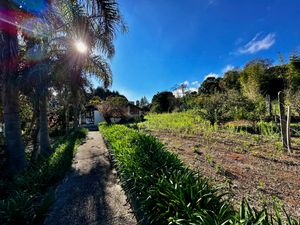 Image 97 - 924429