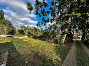 Image 57 - 924429
