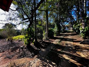 Image 91 - 924429