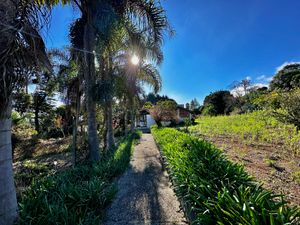 Image 98 - 924429