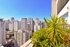 Image 14 - 924447
