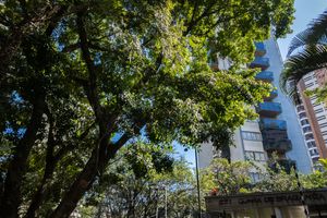 Image 105 - 924454