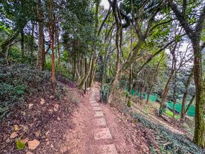 Image 32 - 924456