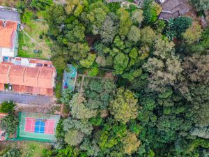 Image 30 - 924456