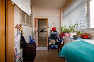 Image 24 - 924526
