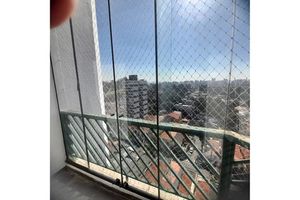 Image 37 - 924529