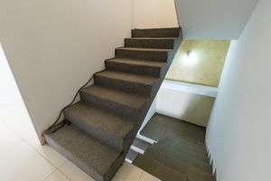 Image 43 - 924559
