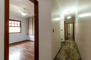 Image 35 - 924560