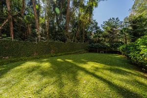 Image 59 - 924564