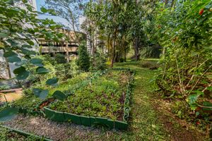 Image 60 - 924564