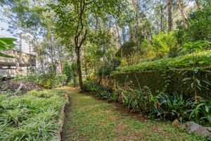 Image 63 - 924564