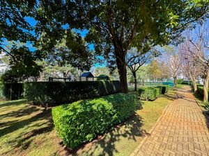Image 46 - 924568