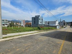 Image 11 - 924570