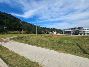 Image 2 - 924570