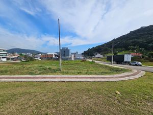 Image 6 - 924570