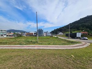 Image 5 - 924570