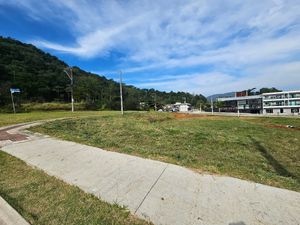 Image 3 - 924570