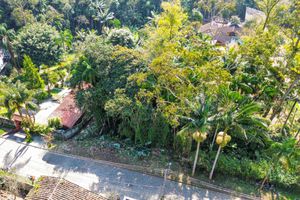 Image 8 - 924592
