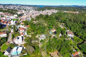 Image 10 - 924592