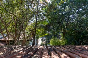 Image 14 - 924605