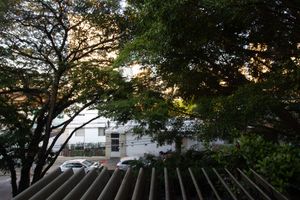 Image 7 - 924687