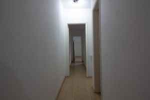 Image 11 - 924687