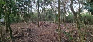 Image 3 - 924688