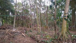 Image 6 - 924688