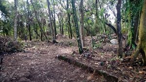 Image 8 - 924688