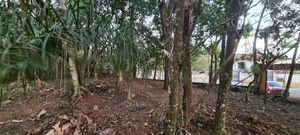 Image 4 - 924688