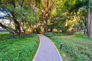 Image 51 - 924716
