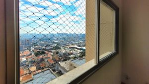 Image 8 - 924771