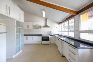 Image 19 - 924775