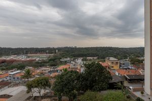 Image 9 - 924782