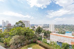 Image 16 - 924784