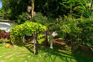 Image 51 - 924822