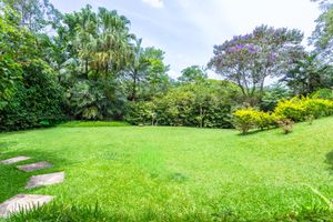 Image 7 - 924866