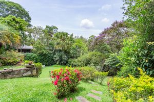 Image 10 - 924866