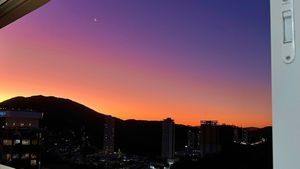 Image 8 - 924879