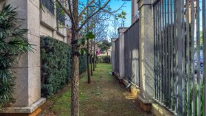 Image 34 - 924904